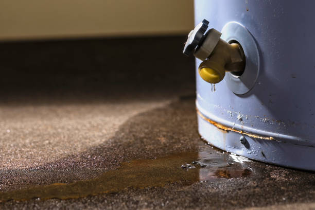 Best Water damage restoration services  in Lebanon, IL