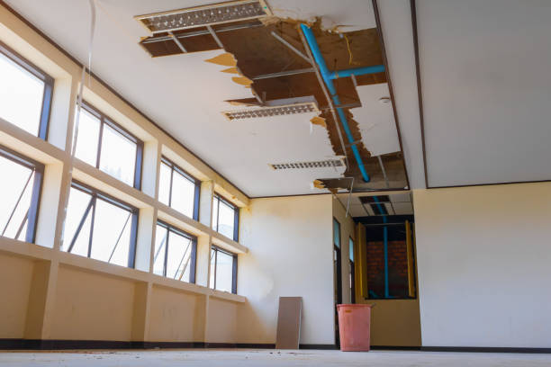 Best 24/7 water damage repair  in Lebanon, IL