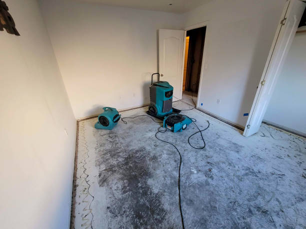 Best Basement water damage restoration  in Lebanon, IL