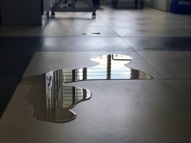 Best Water damage restoration near me  in Lebanon, IL