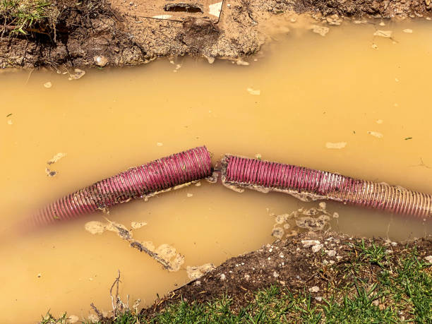 Best Emergency water damage restoration  in Lebanon, IL