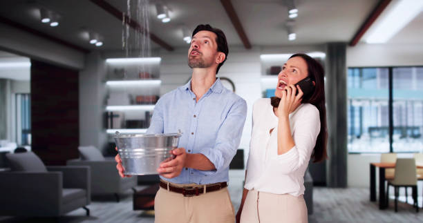 Best Sewage cleanup and water damage restoration  in Lebanon, IL