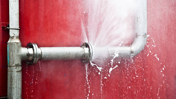 Best Carpet water damage restoration  in Lebanon, IL